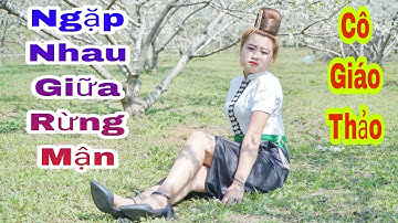 Lk Ngặp Nhau Giữa Rừng Mơ "Nhạc Không Lời" Và Cùng Ngắm Em Gái Thái Tây Bắc