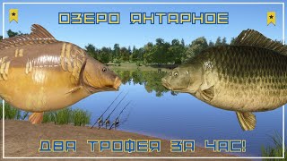 Два трофея за рыбалку 700 серы в час оз Янтарное РР4 maXS1k