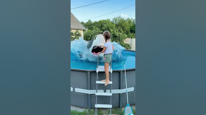 Real shark from swimming pool by Tsuriki Show