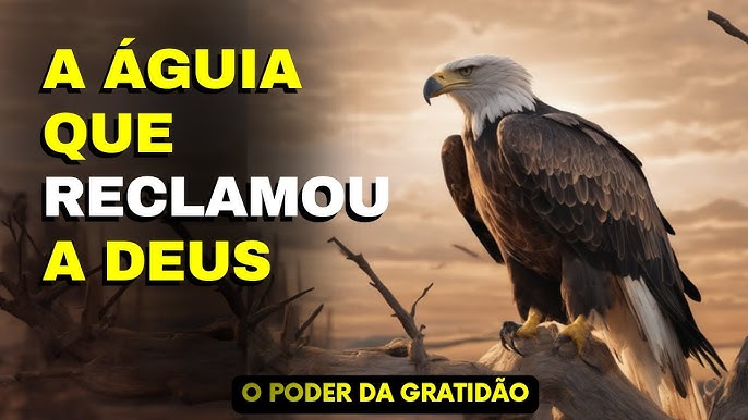 Águia cresce, leão cai. O que mudou desta primeira volta para a anterior?