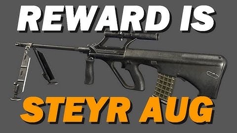 THE REWARD IS STEYR AUG ( DAYZ STANDALONE )