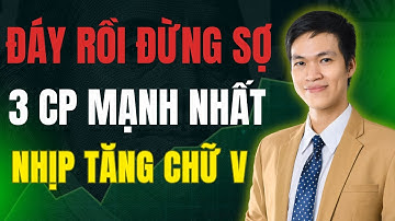 Đừng Bỏ Lỡ Cơ Hội Sau Khi Xác Nhận Đáy 1600: 3 Cổ Phiếu Tăng Mạnh Nhất