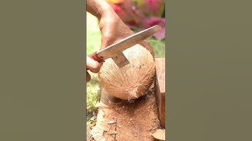 Smart way to remove coconut meat from its shell