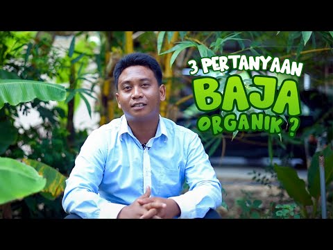 3 Pertanyaan Yang