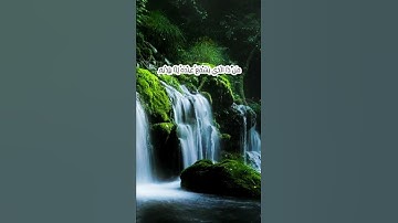 آية الكرسي من سورة البقرة تلاوة خاشعة هادئة