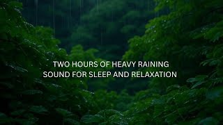 Heavy Rain in the Forest: 2 Hours of Relaxation