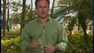 Golfer Admits Breaking Rules screenshot 2