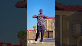 Minister Of Enjoymentlaho Dance Challenge