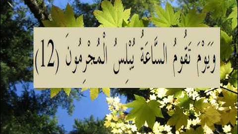 القران الكريم سورة الروم الأية 12.wmv