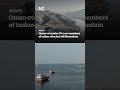 Oman evacuates 10 crew members of tanker attacked off Musandam