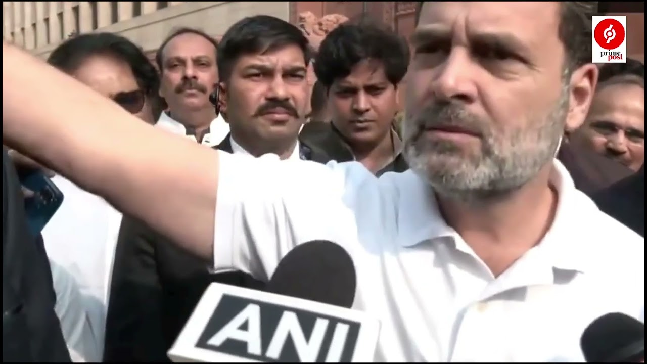 The basic issue is caste-based census and who is getting people's money: Congress MP Rahul Gandhi