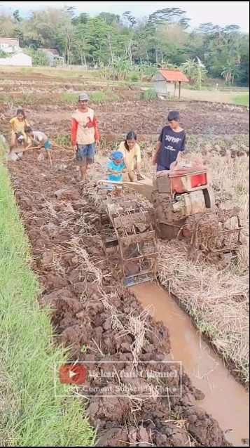 Viral Bocil Mainan Traktor di sawah #traktor #traktorsawah #traktör #traktorquick #traktorcapung