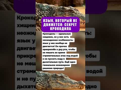 ЯЗЫК, КОТОРЫЙ НЕ ДВИЖЕТСЯ: СЕКРЕТ КРОКОДИЛА #интересныефакты #животные #истории #природа