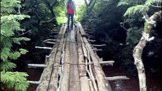 Le pont sur le Mayo Bini à  5km de Mbang Foulbe