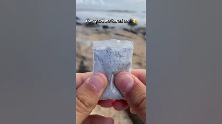 Daisy, this will make you forever next to me. #grief #dogsoftiktok #dog #dogtok #viral 🙏🏻😭🐶