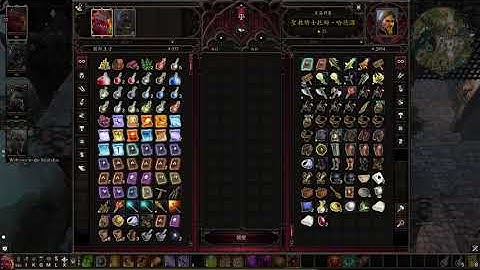 Divinity: Original Sin II #20