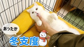 冬支度！あったかグッズで思わずへそ天する猫！