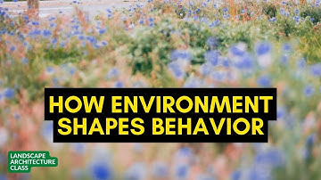 How Environment Shapes Behavior