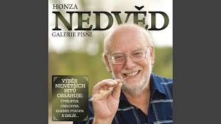 Video thumbnail of "Honza Nedved - Hej, hej"