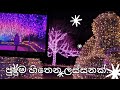 නත්තල් සීතලට ආලෝකමත් වුණ ජපානය | Winter illuminations in Japan