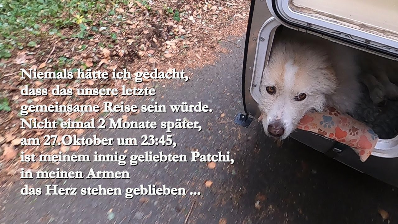 Luckenau-Altrip Fahrradwohnwagen Teil 4 September 2024 Erinnerung an Hans und Patchi :-´(
