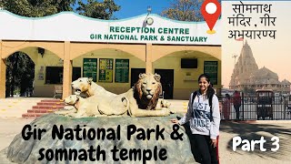 Shree Somnath darshan first jyotirlinga सोमनाथ मंदिर |gir national park | गीर जंगल सफारी | gir lion