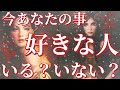 今あなた様のことが好きな人いる いない イエス ノーはっきり出させていただきました 今はいませんという選択肢あります 恋愛タロット占い