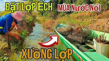 Mùa Nước Nổi Chống Xuồng Lên Bờ Sáng Đặt Lợp Ếch|| Học vlog cuộc sống đồng quê