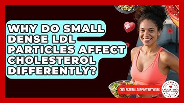 Why Do Small Dense LDL Particles Affect Cholesterol Differently? - Cholesterol Support Network