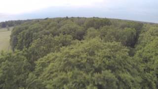 F450 FPV screenshot 5