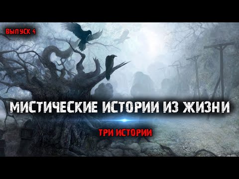 Мистические Истории Из Жизни Выпуск 4