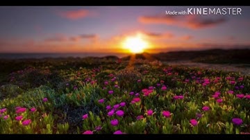 سورة النبأ / بصوت الشيخ عبدالله كامل