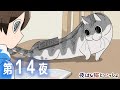 アニメ『夜は猫といっしょ』第14夜「ネコに乗せたくなる」