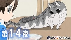 アニメ 夜は猫といっしょ チャンネル Youtube