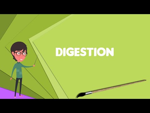 What is Digestion? Explain Digestion, Define Digestion, Meaning of Digestion