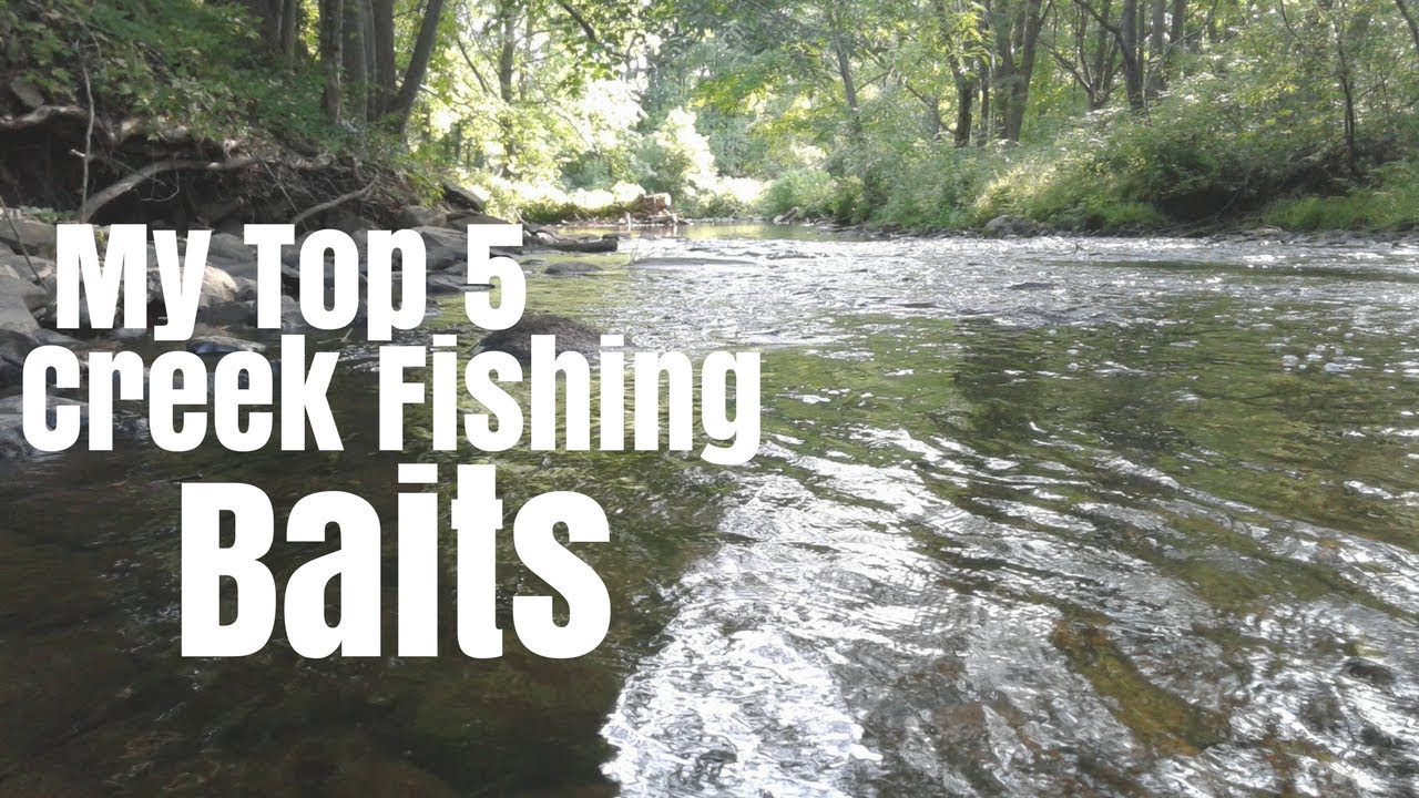 My Top 5 Favorite Creek Fishing Baits YouTube