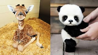 Cute baby animals Videos Compilation cutest moment of the animals Soo Cute! #1