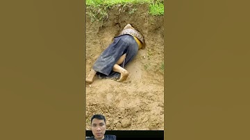 Cô gái Bị trăn khổng lồ kéo vào hang #snake