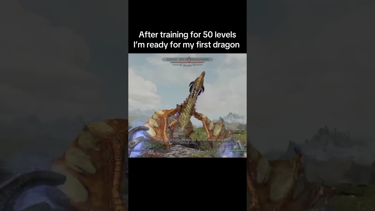 I’m finally ready for my first dragon fight Skyrim 