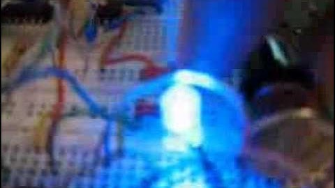 Nibbler1 random beats