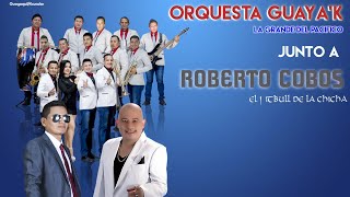 Video voorbeeld van "Msc. Asi es la Vida Orquesta Guayak.. feat Roberto Cobos
Contratos:0981043971"