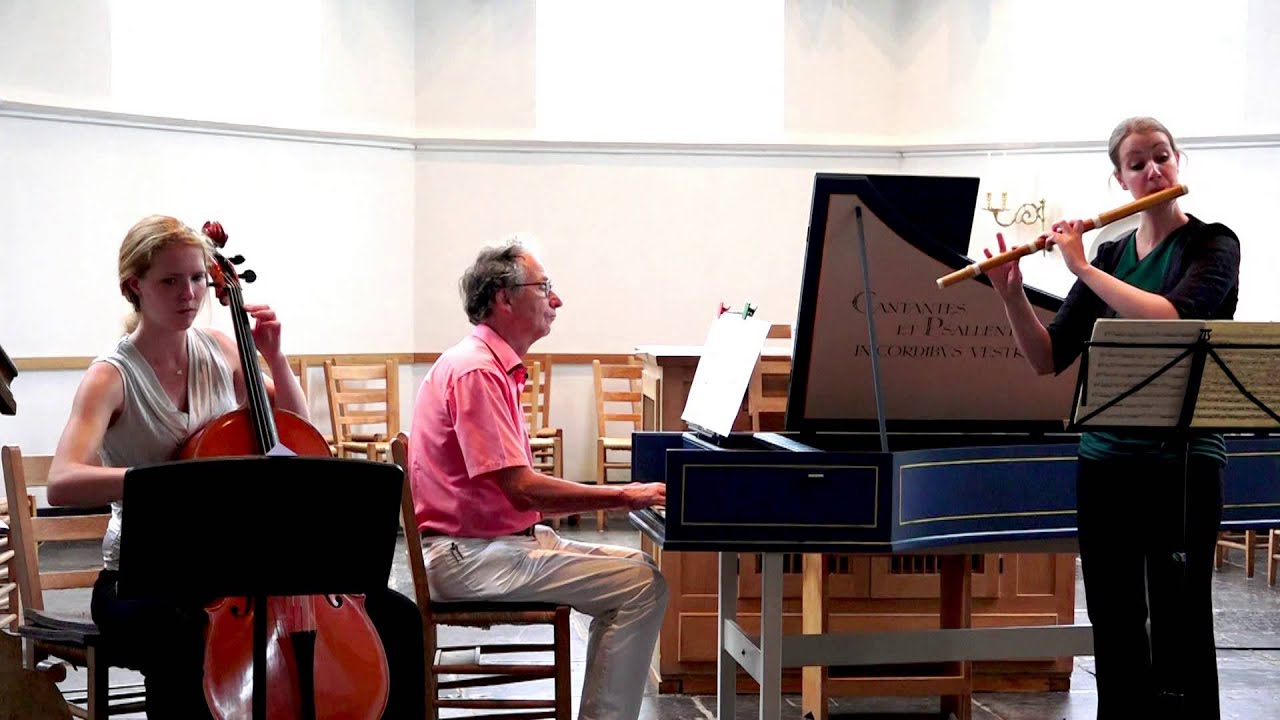 Andante uit sonate in E- J.S. Bach - Hans Andreus "Het licht speelt