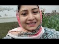 sabjiyan nikali bohot sari aaj || harvesting day || #harihanu