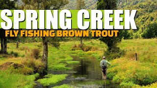 Spring Creek Fly Fishing for Brown Trout - 2 Spring Creeks on 1 Incredible Afternoon Fly Fishing
