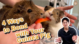 "Getting Closer to Your Guinea Pig: 4 Ways to Bond!"💞 | GuineaDad School