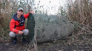 Нашёл брошенную браконьерскую ВЕРШУ на дикаре, ловля карася на фидерную снасть, вот это улов рыбы by Юг Fishing 22,813 views 6 months ago 33 minutes