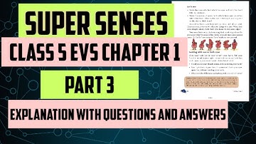 super senses / class 5 evs chapter 1 / ncert books class 5 evs chapter 1 super senses / Super Senses