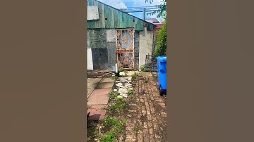 3” Salute Shell Firework