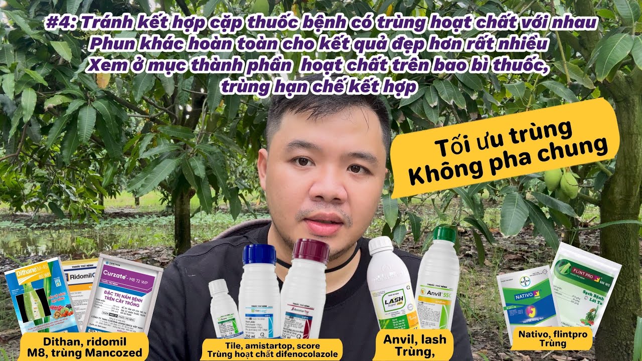 #4: Thuốc trùng hoạt chất không phun chung. Phun cách cử 3-4 ngày mưa vẫn phun liều vừa không tăng.