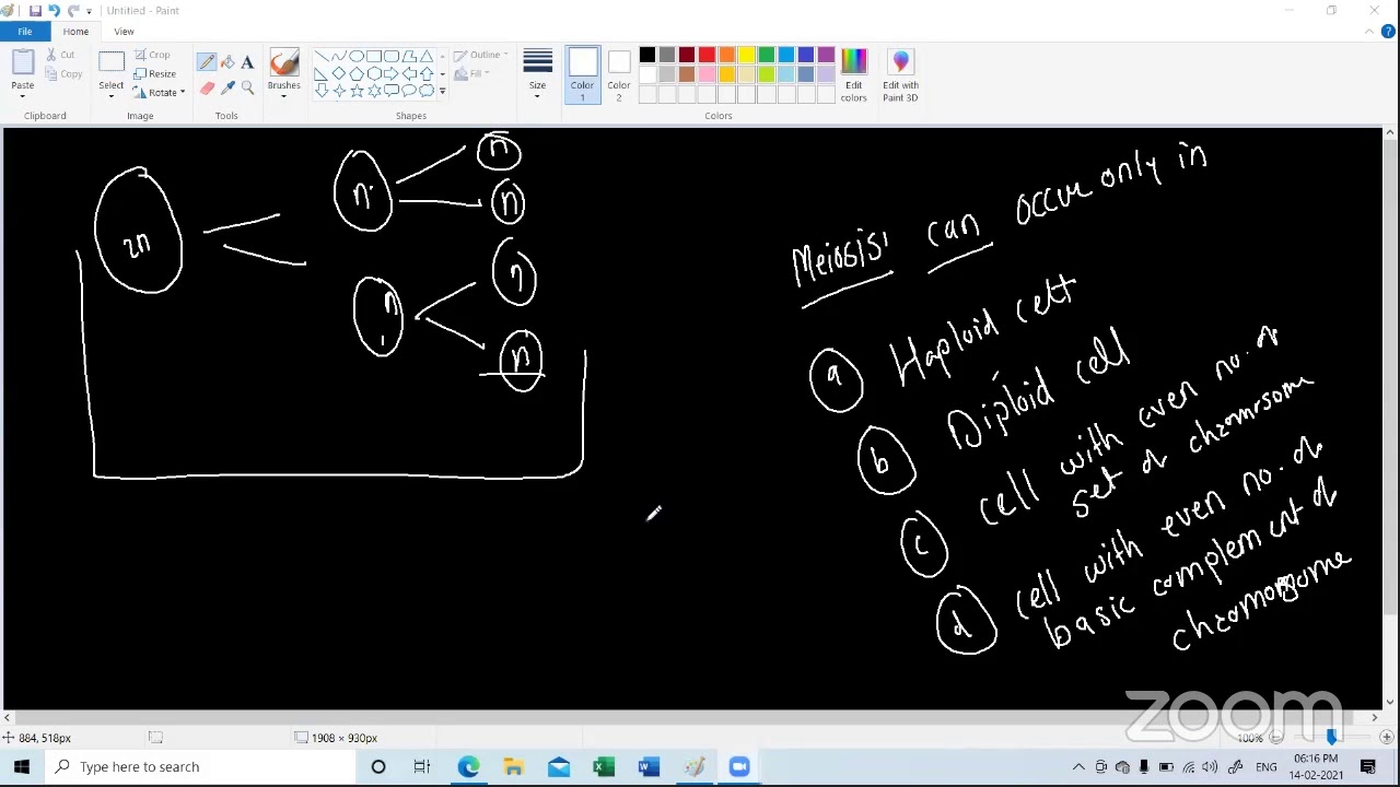 cell division...... revision lctr